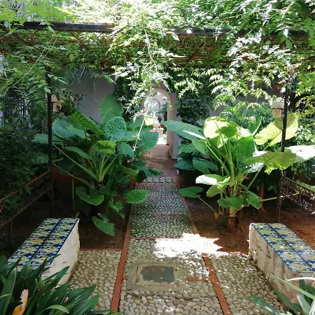 Appartement A Primera Linea De Playa